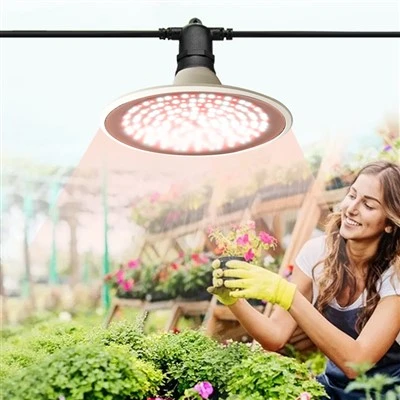 Led 15W perulampi fyrir plönturæktun